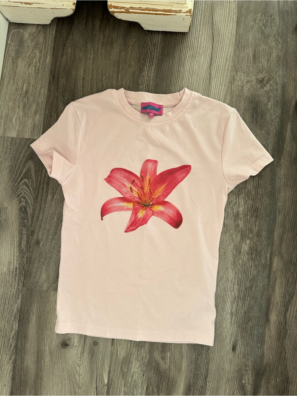 Edikted Light Pink Tee with Red Floral Graphic